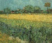 View of Arles with Irises Vincent Van Gogh